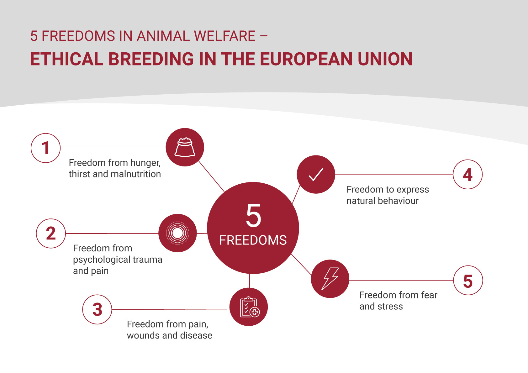 5 freedoms in animal welfare – ethical breeding in the European Union -  Meat from Europe